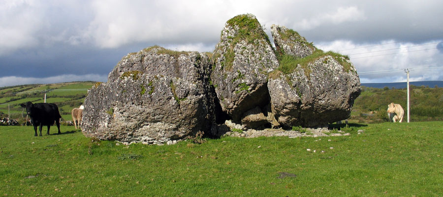 A huge chunk of glacial erratic limestone on Moytura in County Sligo.