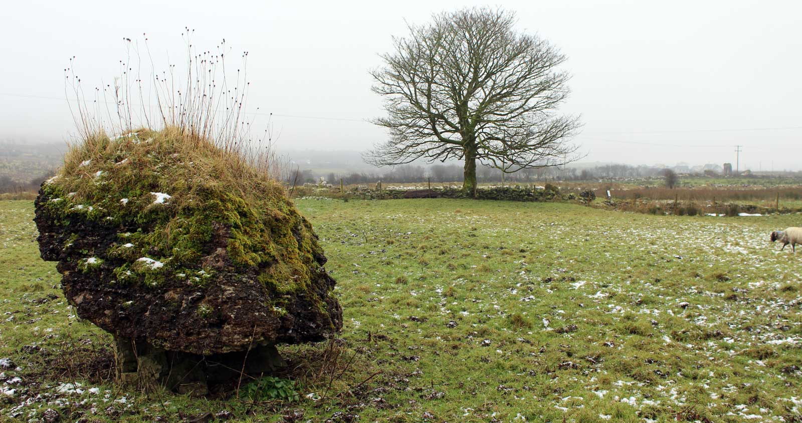An erratic limestone mushroom close to the court-cairn at Moytura in County Sligo.