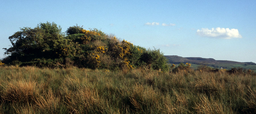 The large mound or barrow on the summit of Shee Reevagh