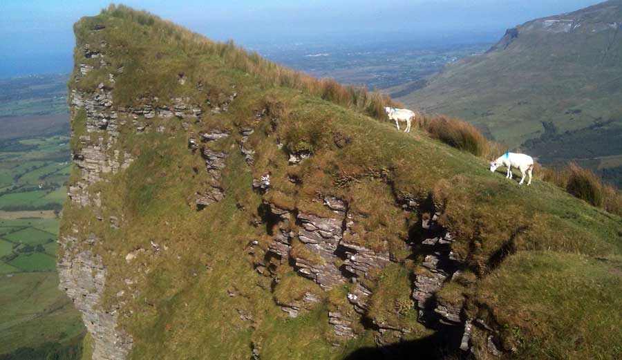 The summit of Benwisken, County Sligo.