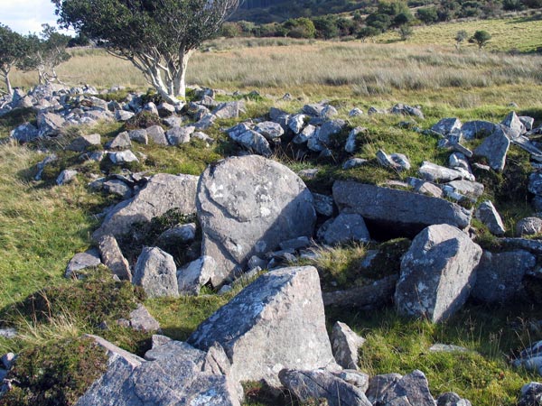 The impressive double court cairn in the townland of Moneylahan just south of Benwisken.