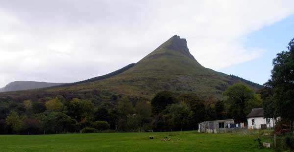 The spectacular head of Benwisken