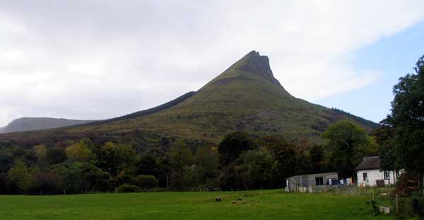 The spectacular head of Benwisken