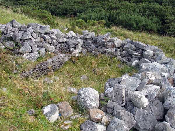 Bushdrinking shelter