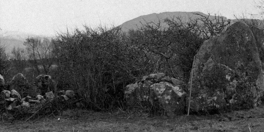 The megalith in Cartronplank called Toomnafoirmoire.