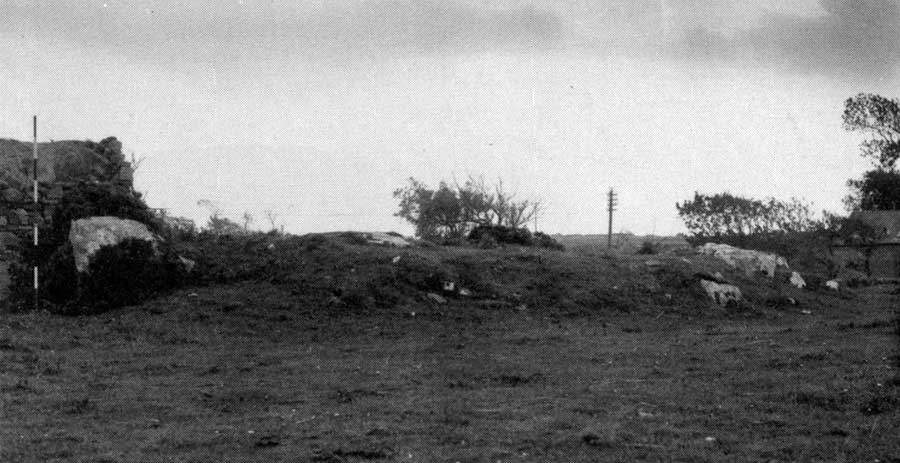 The ruined court tomb at Creevymore, Cliffoney.