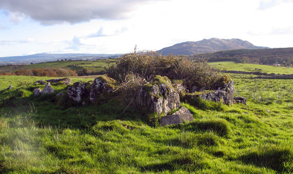 Deerpark Wedge Tomb.