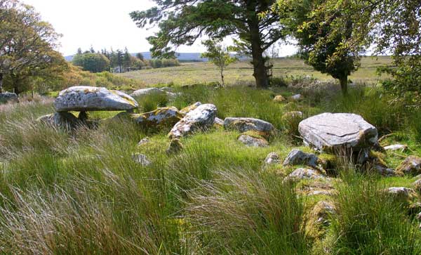 The court cairn near Tawnatruffan. 