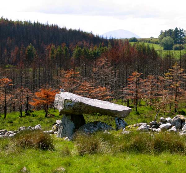 The Giant's Griddle dolmen, Co. Sligo.