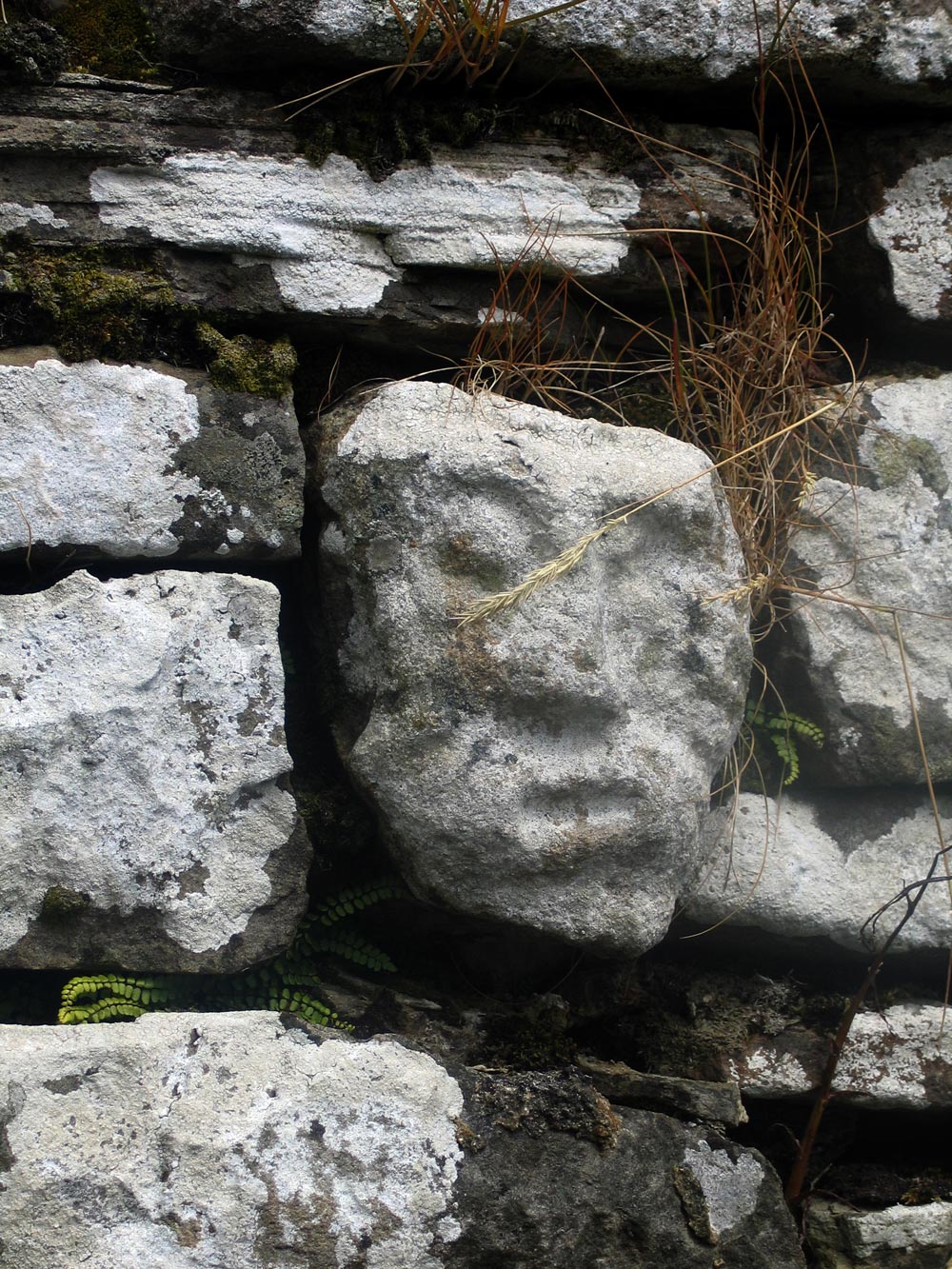 Carving of Saint Molaise at Keelogues church under Benwisken.