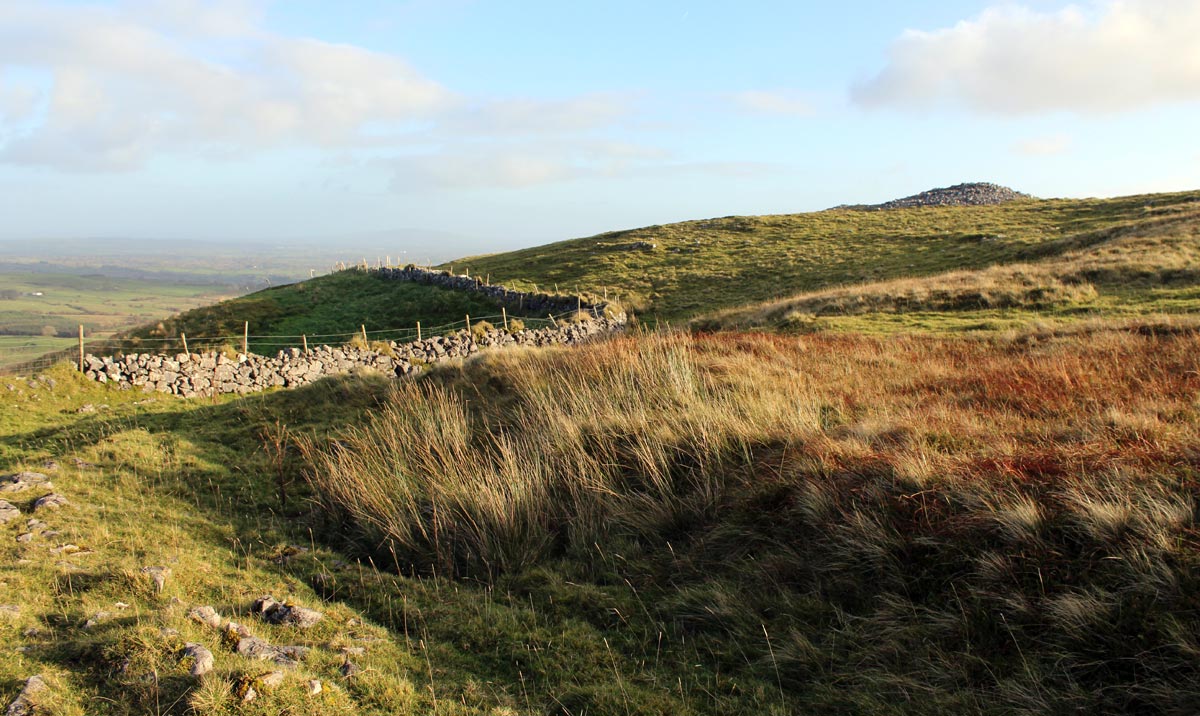 The megalithic cairn on Knocknashee, and the ditch of the Bronze age hillfort.