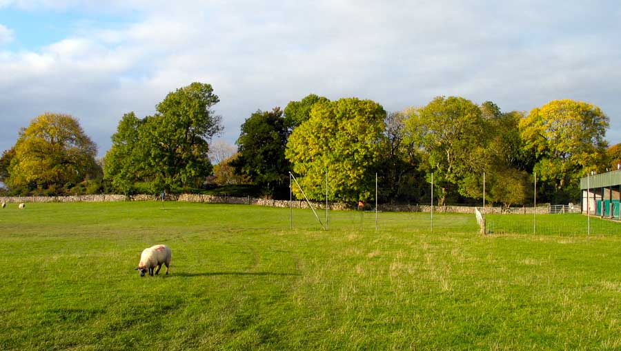 Liosnalurg County Sligo.