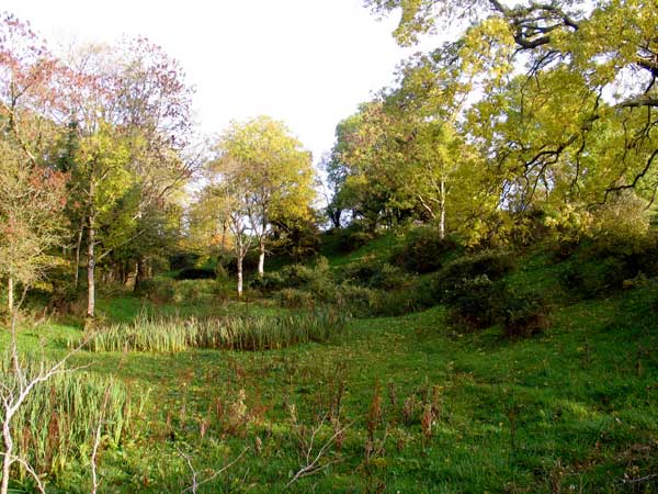 View of the henge.