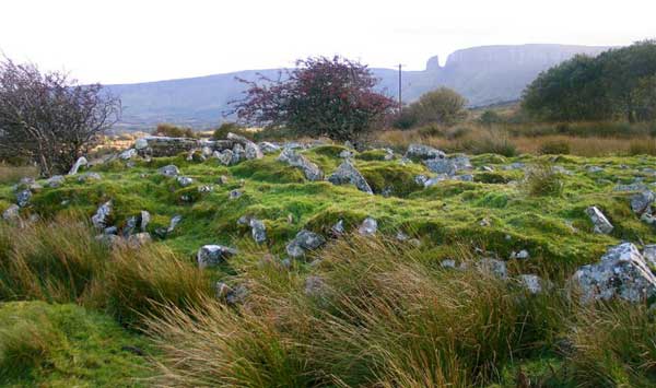 The kite shaped court cairn in the townland of Sheskin.