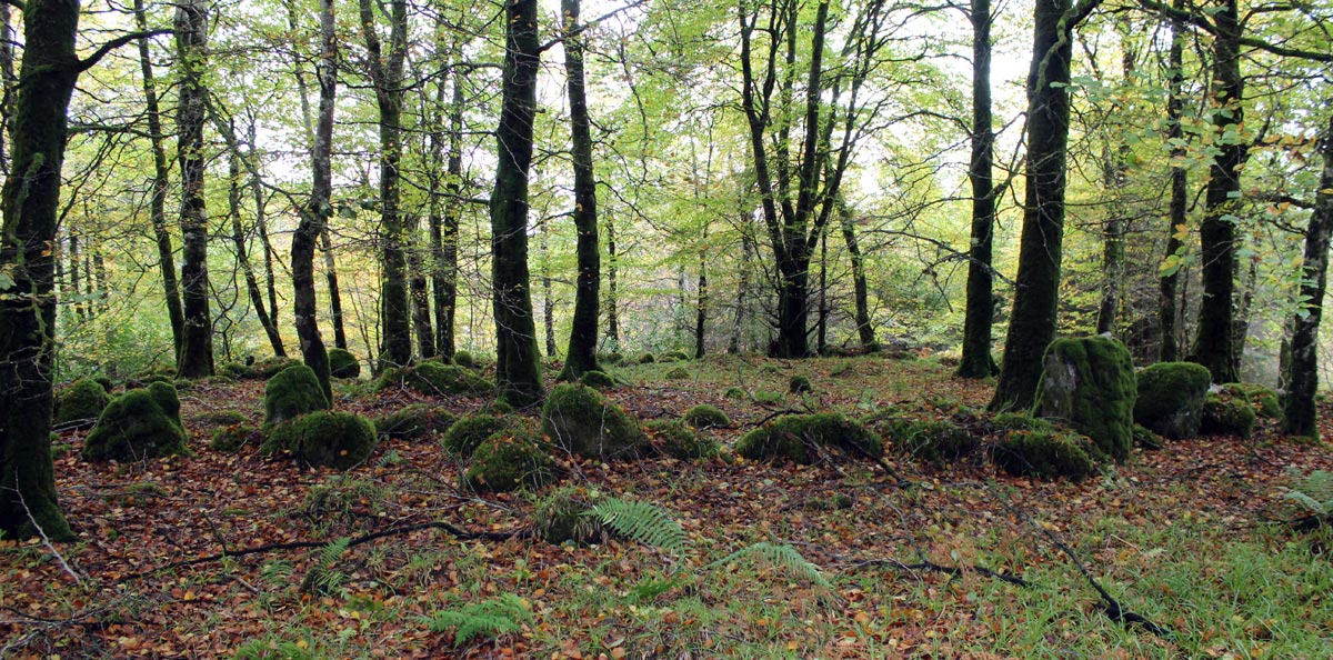 Union Woods passage grave.